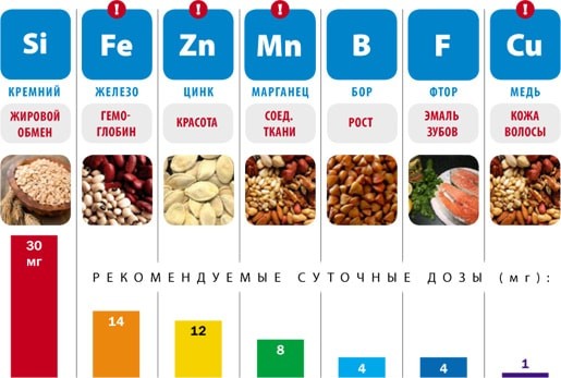 Для поддержания нормальной мышечной активности организму необходимо определенное количество Магния, Натрия, Кальция и Калия.