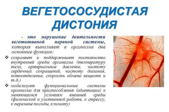 Вегетососудистая дистония (ВСД) Вегетососудистая дистония (ВСД)